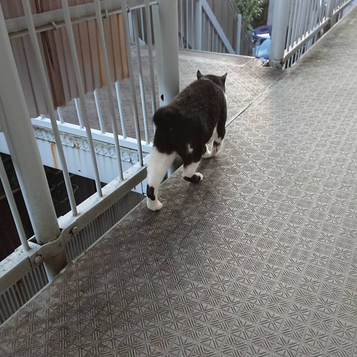 2a98f129 44ab 4539 9ee3 2d591a1dc1f1 1598748089800