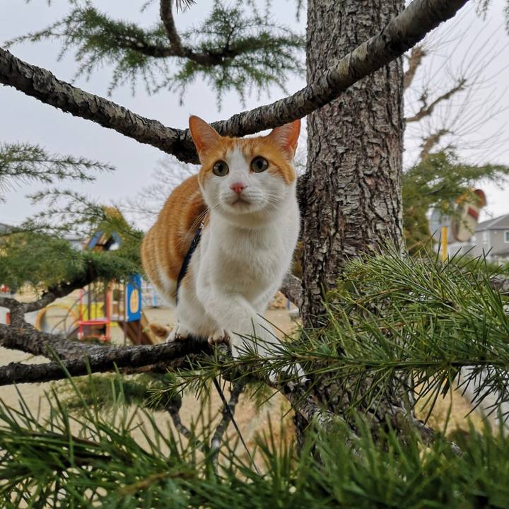 2a98f1f2 ab1b 4f4c 887c a137c744a05a 1547981665005