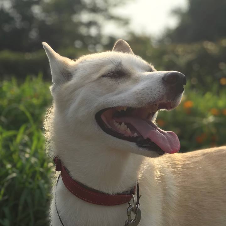 2a990d3a 98d4 4240 9023 068b65813927 1531779079547