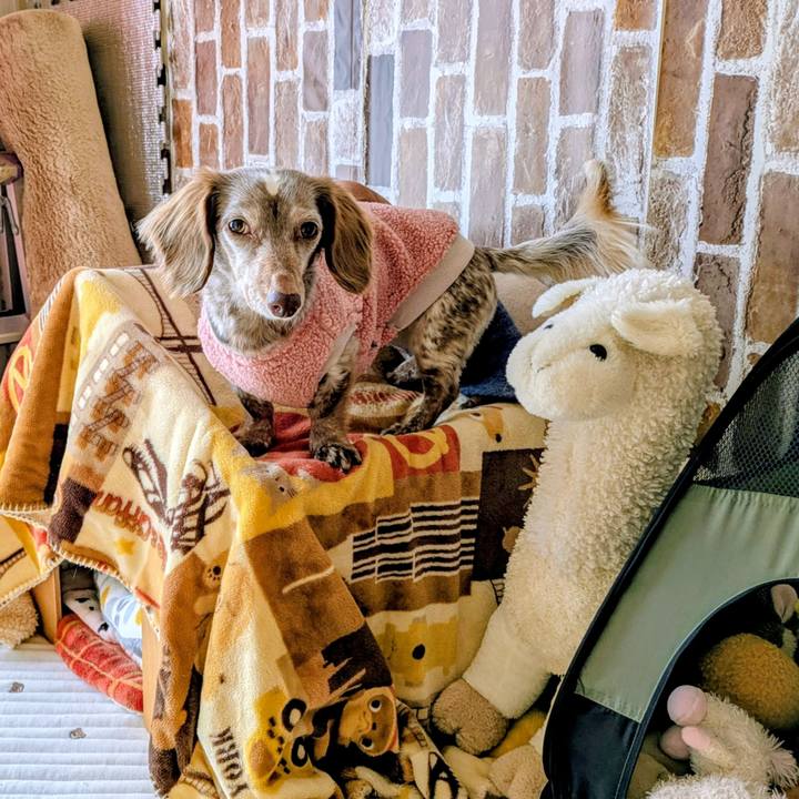 2a9923bc 0a2e 424e ae77 1d2687fc3e70 1768873432065