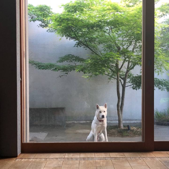 2a992786 d36c 4967 ad40 138fe90d0f7a 1524287090672