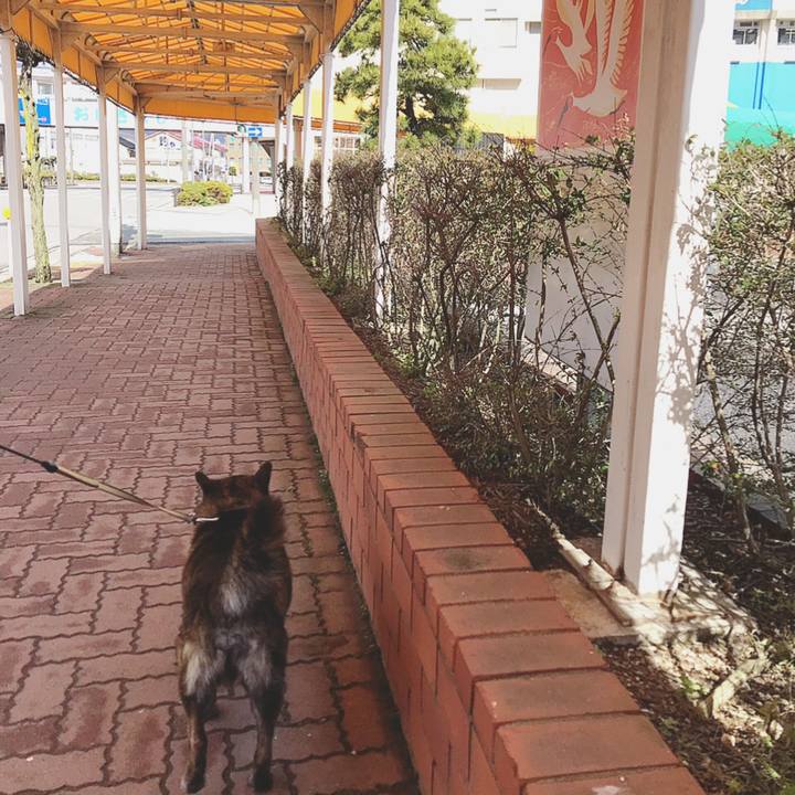 2a994084 18d9 4393 b0b9 aebe540e3dee 1554008751475