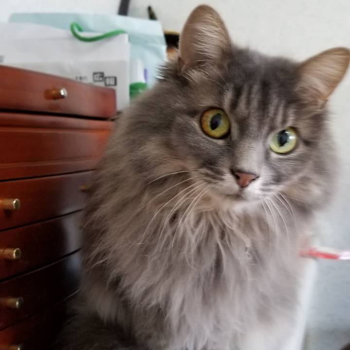 2a99a2e1 da08 4d66 8bf1 f4c890e00442 1576504479150