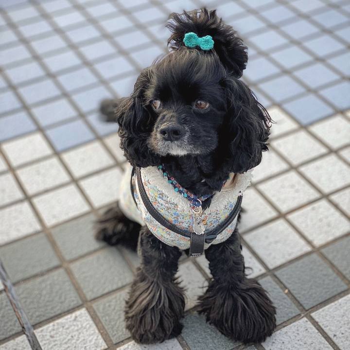 2a99d14d f6fb 4c2d 9285 f433b6065981 1579236972760