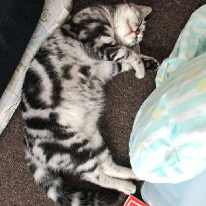 2a99d885 3c61 4712 9c35 73d523424d06 1537969456597