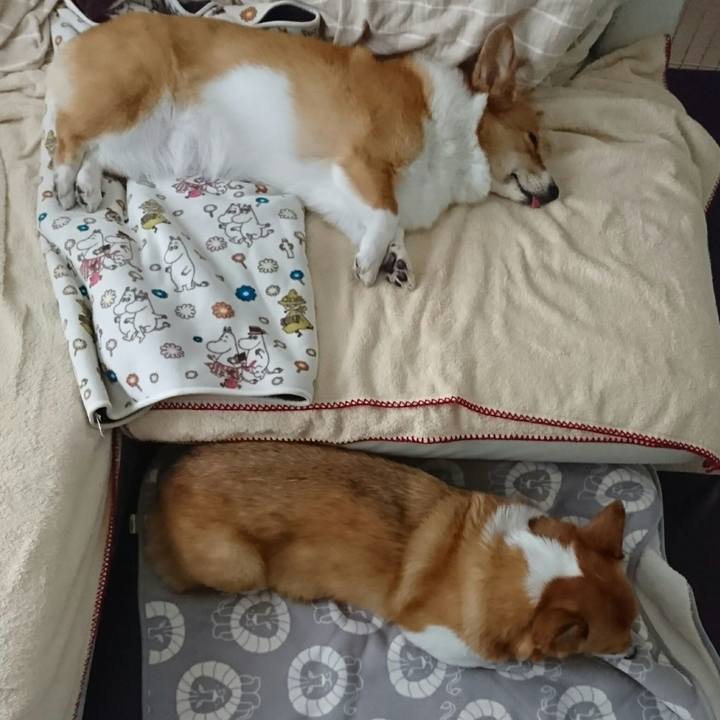 2a99eb28 8364 4a9c 901d a58ed70c3485 1541508352436