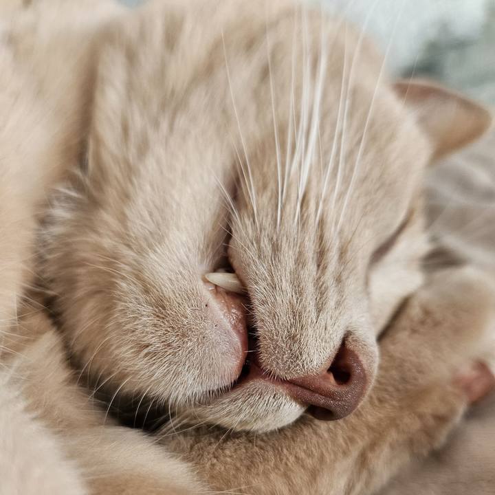 2a9a3a31 3315 4e20 b12b d1cdd123639f 1757136526696