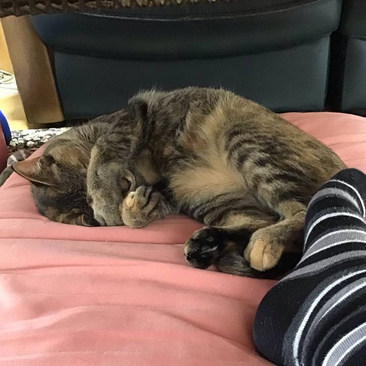 2a9ad184 74bf 4e18 a28d d1527fae8b76 1596159141575