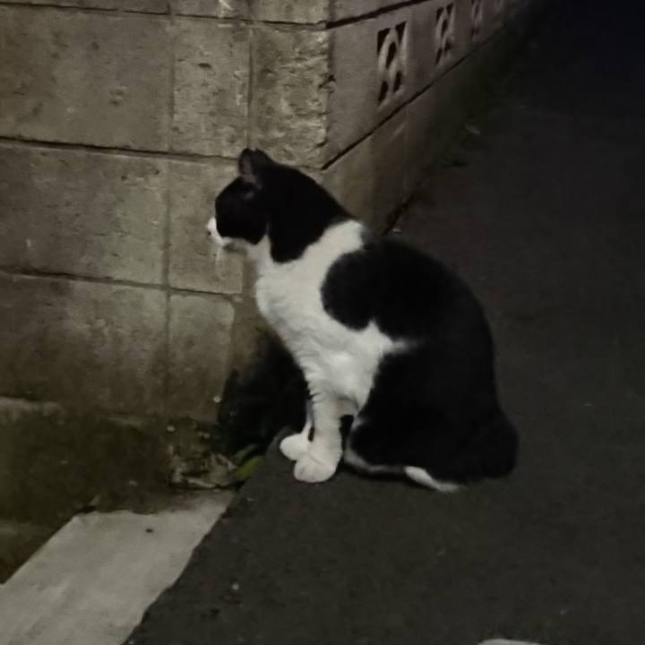 2a9ae766 f5ee 481f 89e7 258ce8a18786 1698222962413