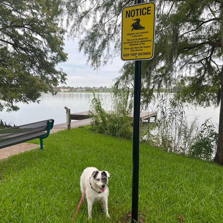 2a9af234 8941 44f9 83de 3218471ad635 1662328888001