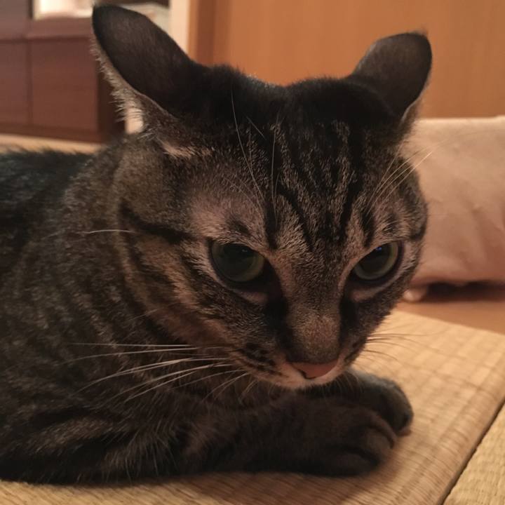 2a9af9c1 a083 4043 beaf feaf48bf0c8d 1540468237943