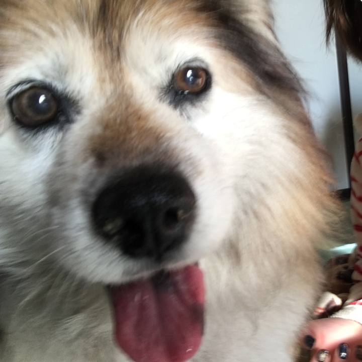 2a9b22e6 92dc 4507 b674 f15572426942 1585599349656