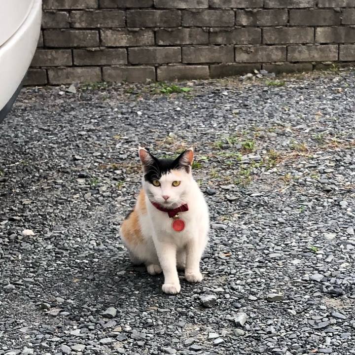 2a9b65b2 b0dc 4e7f a52c ae054bcfa37a 1632698781262