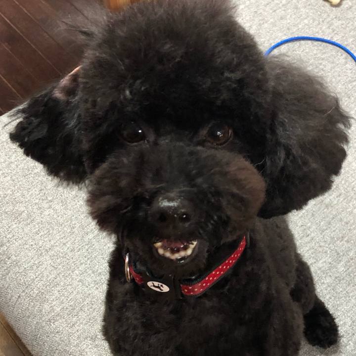 2a9b7409 3181 4be3 b8bc 635dbb8a55f8 1592212756801