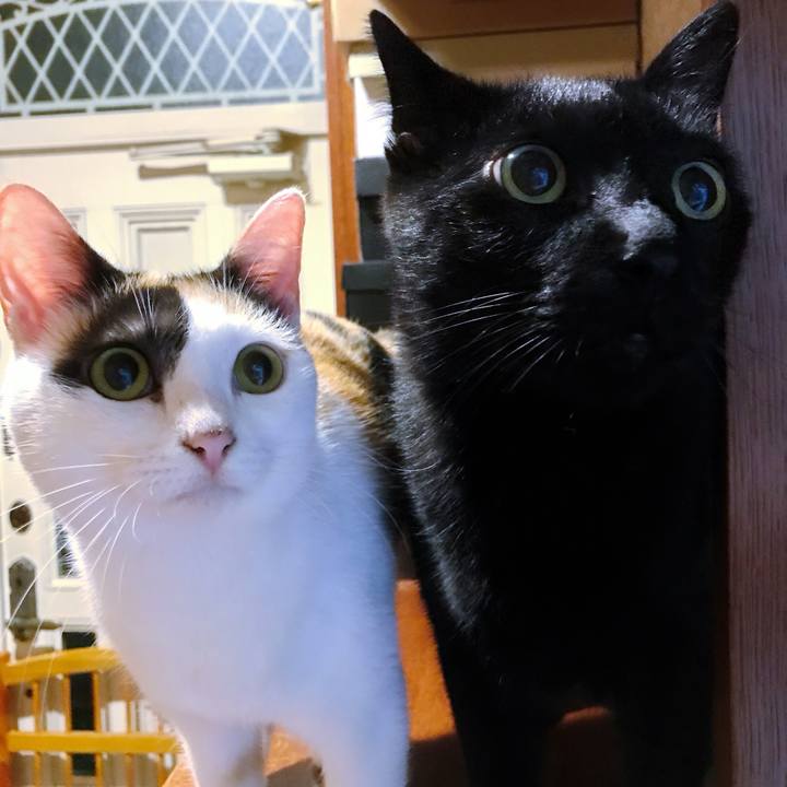 2a9b9b8b db8d 4d9c aac1 3166a8e8db9f 1508029265764