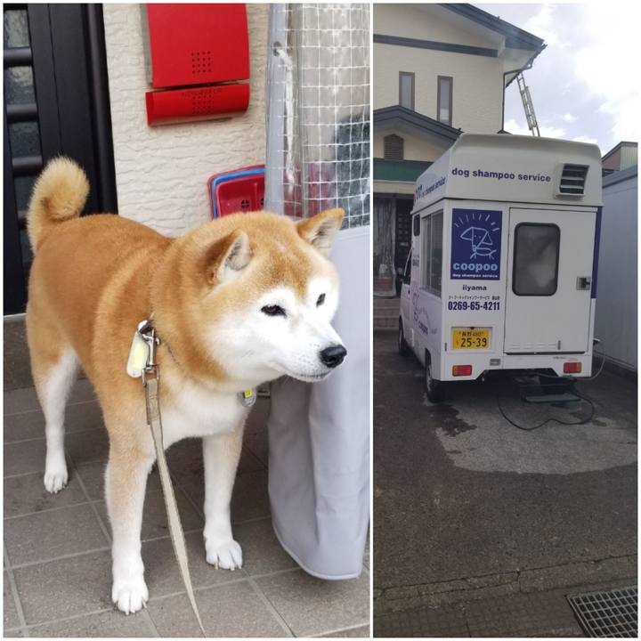 2a9bab73 559d 4da7 b882 5293b721424a 1671500945935