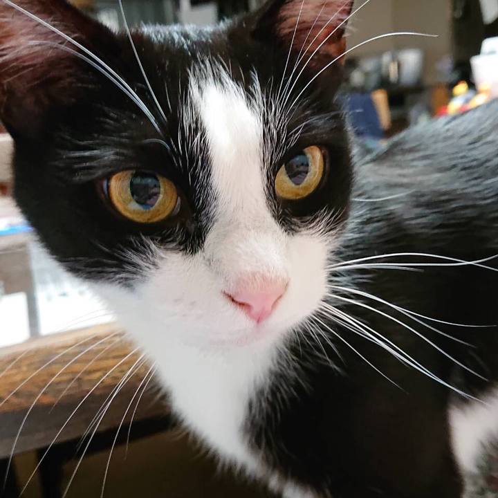 2a9bb84d 2a9e 4d58 ad55 6029feb24c80 1560957368143