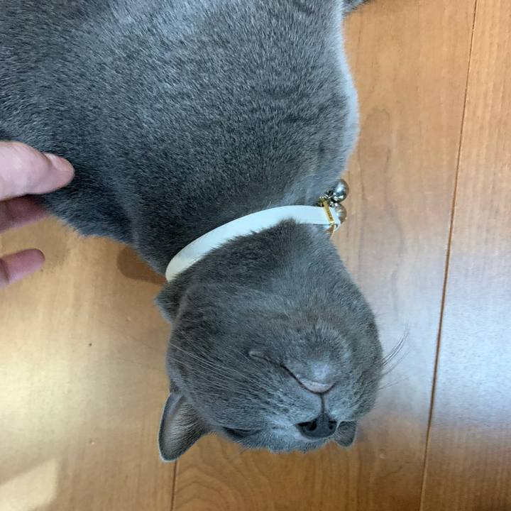 2a9beae2 b5dc 40e9 abc5 e1e7c6f220b8 1625962361819