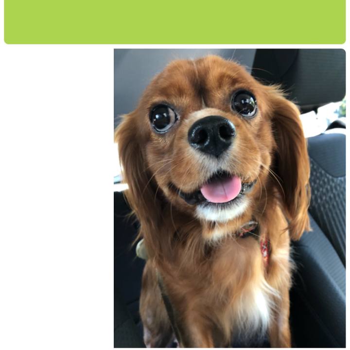 2a9c443d 967b 4033 83b7 1acdf53a33b2 1540646445408