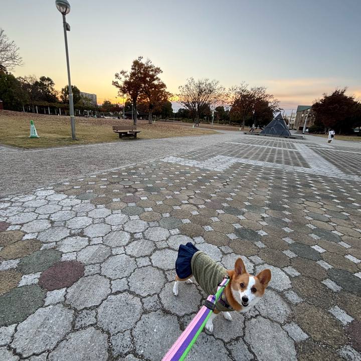 2a9c755b 1d78 4363 b5c1 50fd48e0b0ac 1763980262042