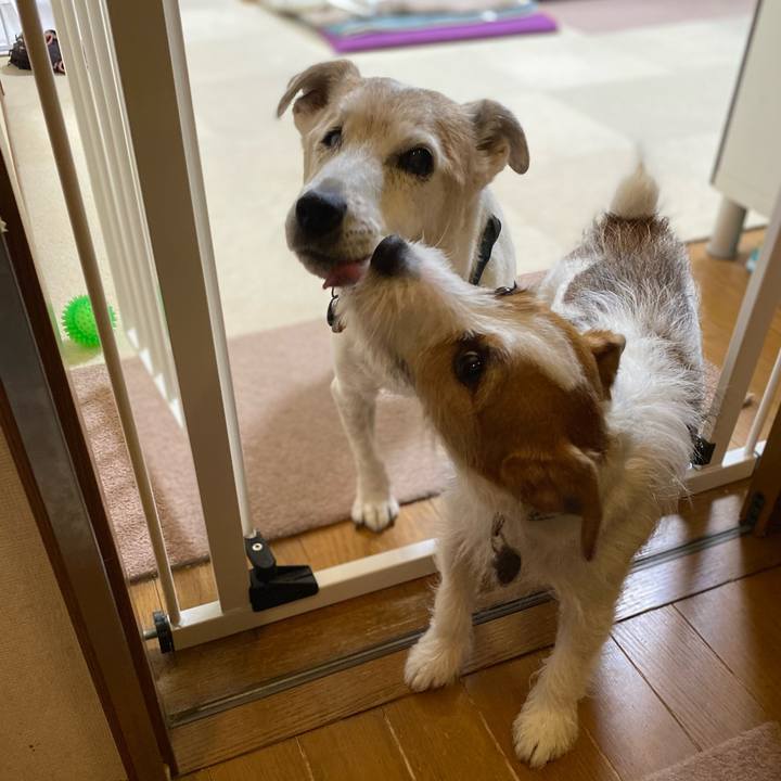 2a9c9cb9 af6c 4b36 a072 a3b28bb15743 1706054080968