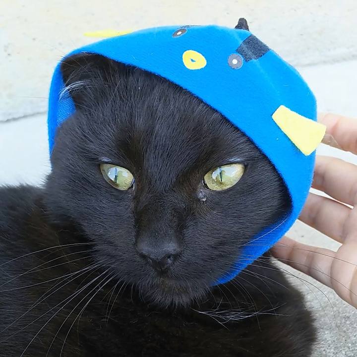 2a9cb2b9 ca4b 47f3 b203 a14417a46be6 1558067815443