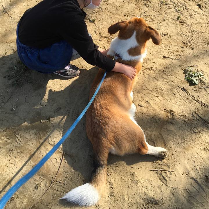 2a9cba14 47b5 47d6 97b4 ca0817f8dabc 1616029068792