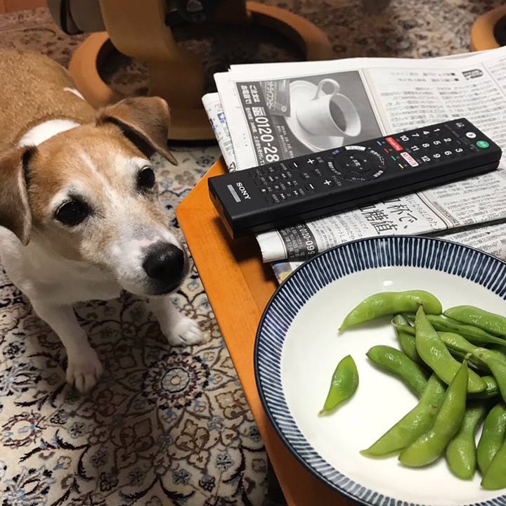 2a9cc016 50eb 4272 acaa 13fe8b5d2cfa 1560255769216