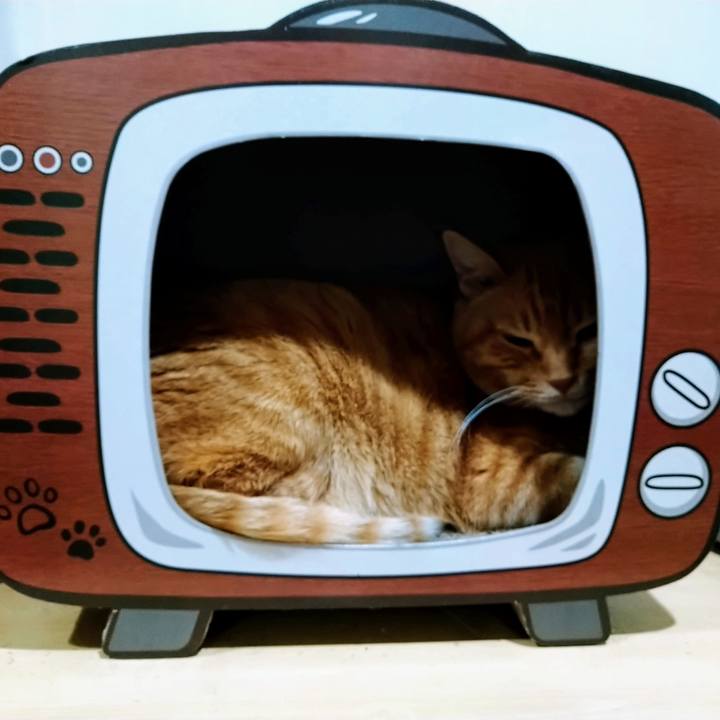 2a9cc40d a5f3 47d4 988a 4bdb89070a17 1627485612329