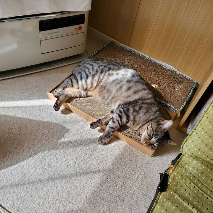 2a9cfdc8 16f8 4724 808e 8cfa1056f1af 1693829543650