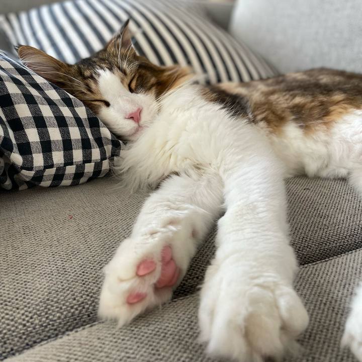 2a9d0223 2c1d 46cf a4bd ebc0542fea56 1662156716752