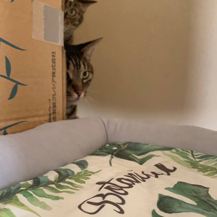 2a9d4b87 5659 46c5 8de3 af2c28d6f780 1565608739653