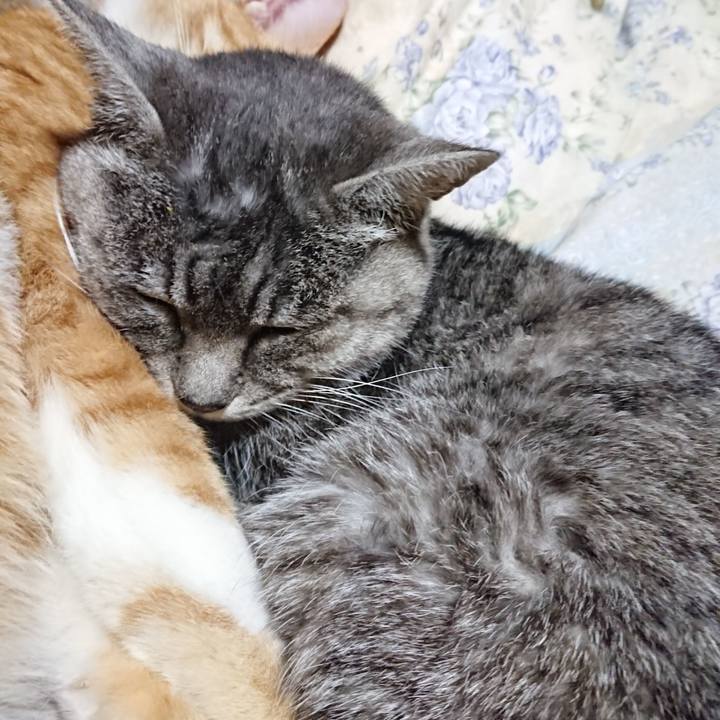 2a9d509f ff87 41bf 8d28 1e3fc3ef114b 1575291043950