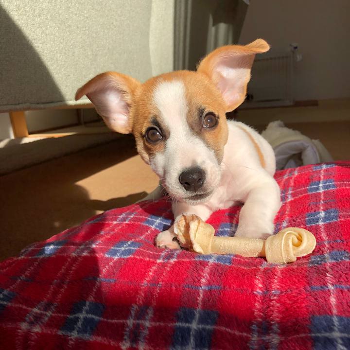 2a9d6f2d 55f3 419a bf8f 5afcfbf9ab59 1545958353978