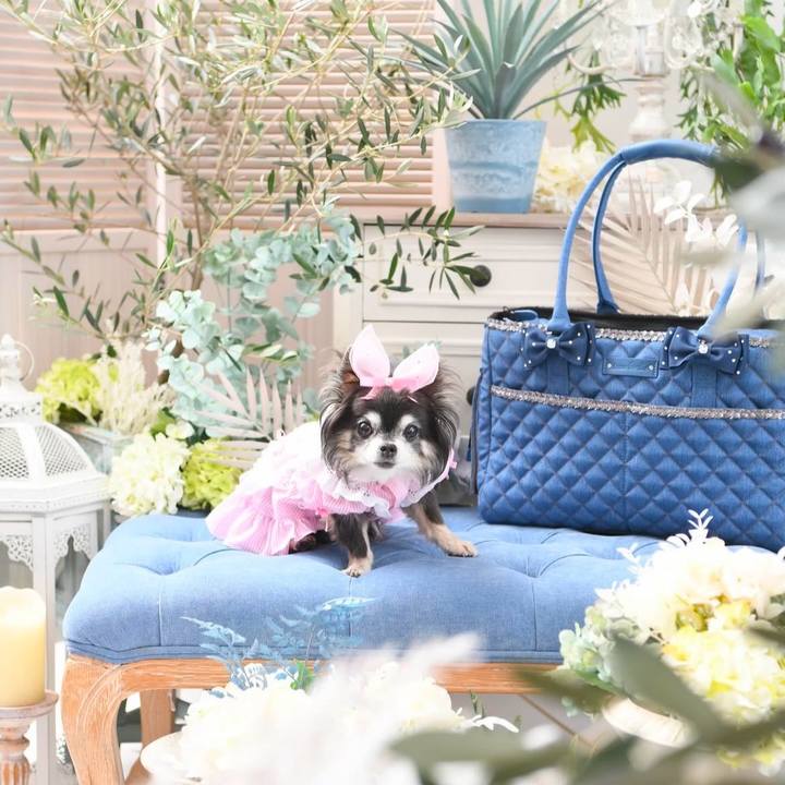 2a9d702c f164 45a9 8e99 2dcc391d584e 1735688508966