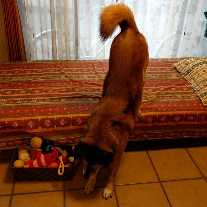 2a9df581 d6ae 4ad7 8bea 4fb816137cdb 1522965183743