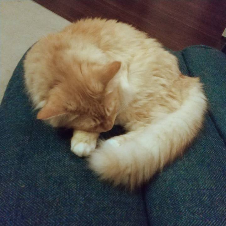 2a9df83e 7f3e 402b 97ff d87614275286 1625057820157