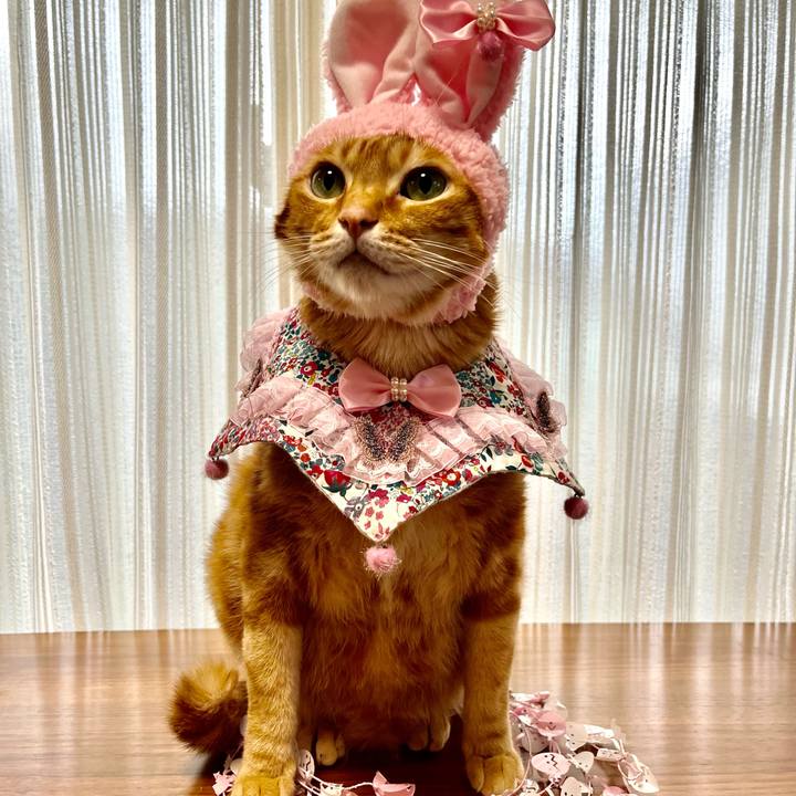 2a9e21a8 6644 4309 9c00 24dddead8086 1649284310798