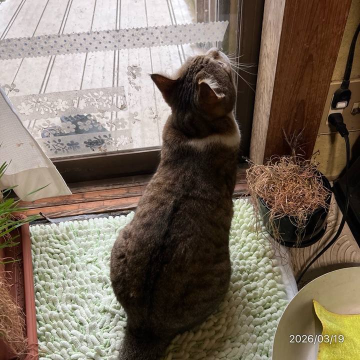 2a9e25d5 8670 44af 9a77 c960da5a7f2c 1773871213102