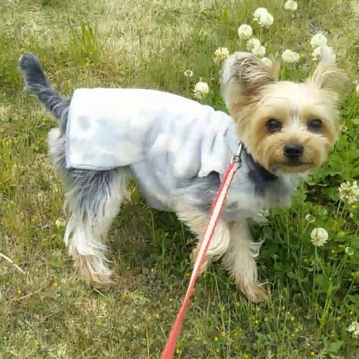 2a9e4506 e649 429e 870e e43329e4d3b2 1589526878471