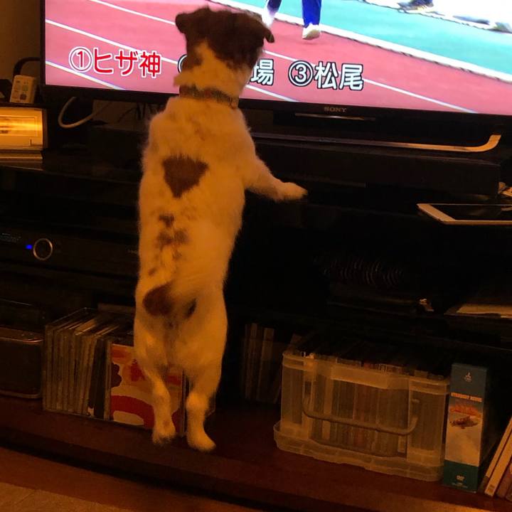 2a9e98b8 83ff 41b3 afd6 35f6cf3540b7 1590621512675