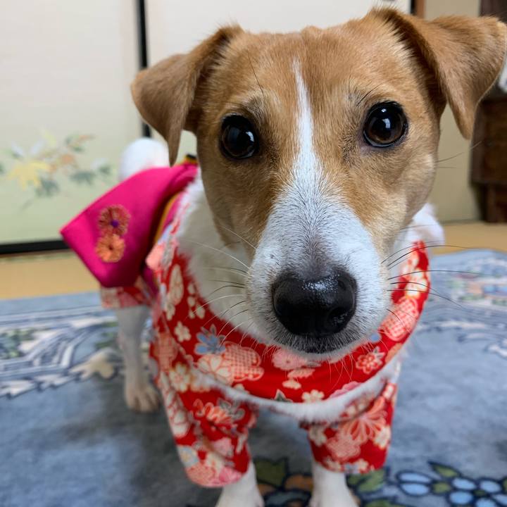 2a9e99e4 d85d 489e 92df f0649dd5fbfc 1577875452220