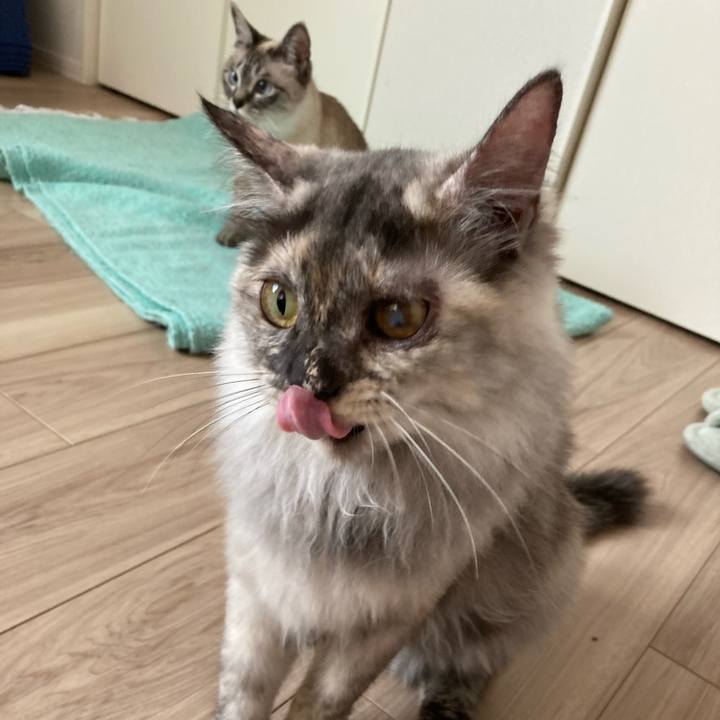 2a9ebc2b 47f7 44c1 8e48 6ee5f9dea778 1715142775989