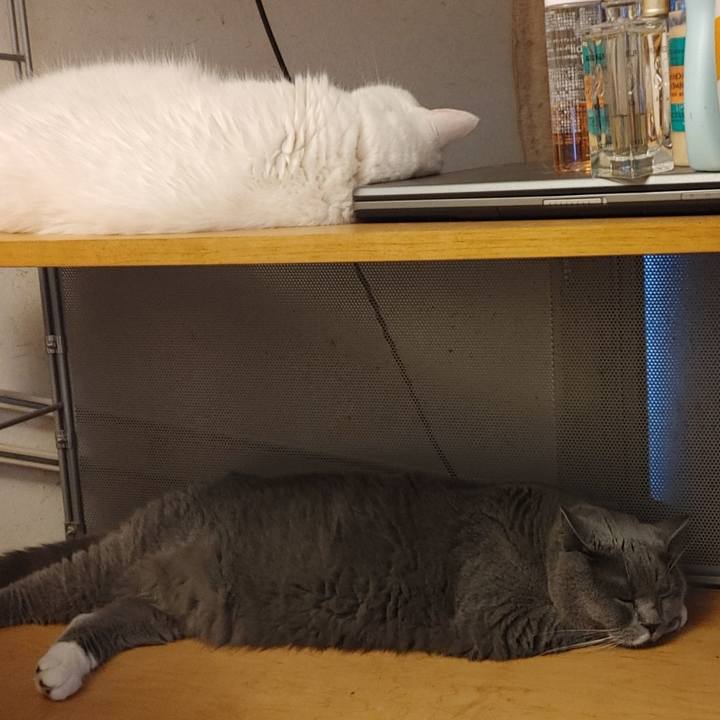 2a9f028b d215 4129 8dc7 b06d38c55456 1626821624093