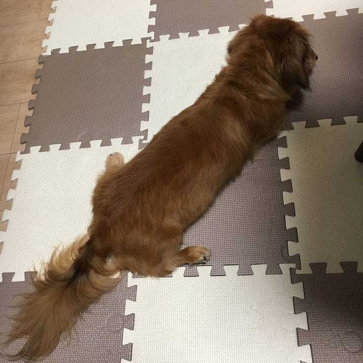 2a9f300a ac1a 4d72 bd60 0bac6dd4e253 1537016683892