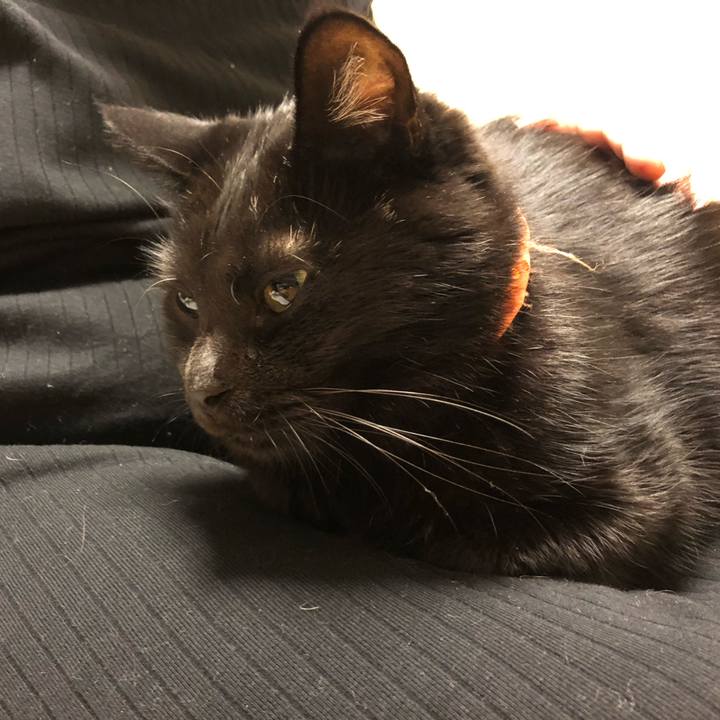 2a9f548f 5e7c 4dff aafb 9f904a424deb 1572006976050