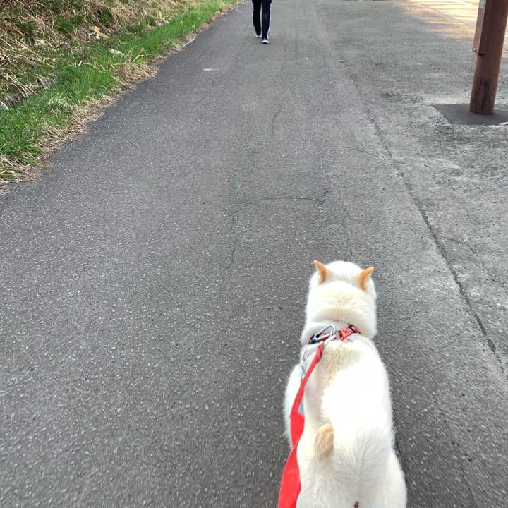 2a9fa59e 018a 43ec 947a a29a171a4e74 1556605237019