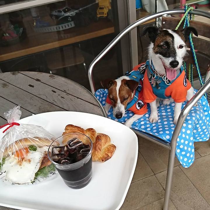 2a9fd21a b8b8 4829 85a7 57238ba23629 1590459562412