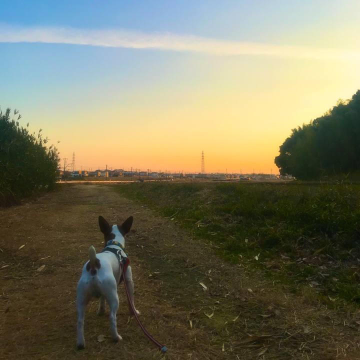 2a9fd2f5 faa3 4103 87a6 82bebf223d4c 1516095353803