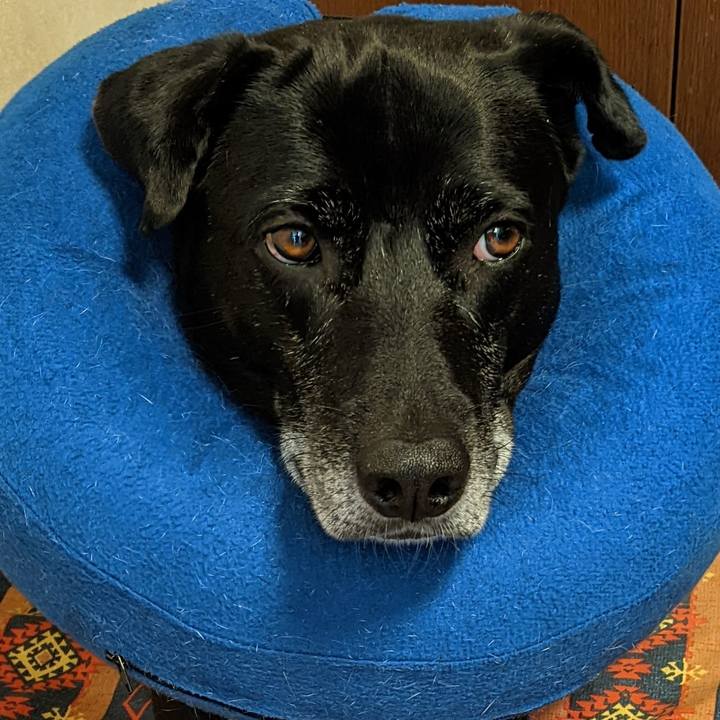 2a9febd0 9aac 4420 98c0 8bb7243fe45f 1700443341147